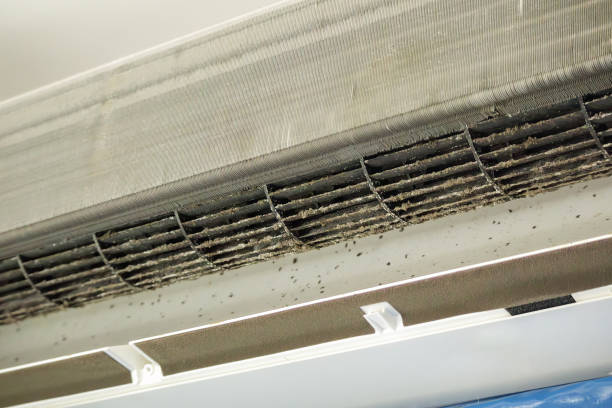 Best Duct Cleaning for Offices  in Ller, WA